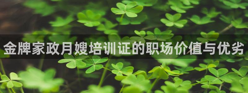 杏悦平台代理怎么样可靠吗