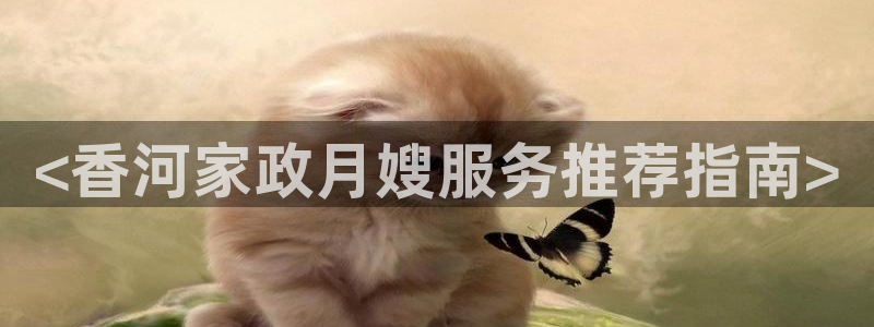 杏悦登入