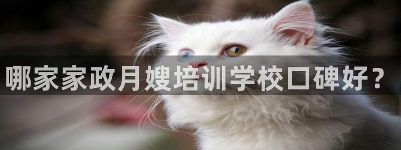 杏悦平台可靠吗可信吗