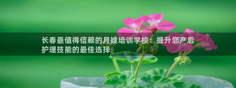 杏悦平台可靠吗可信吗安全吗
