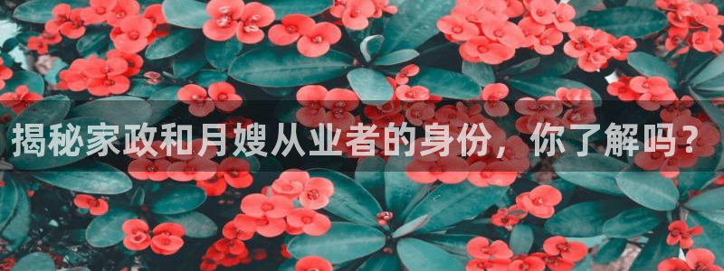 杏悦t首选推荐平台