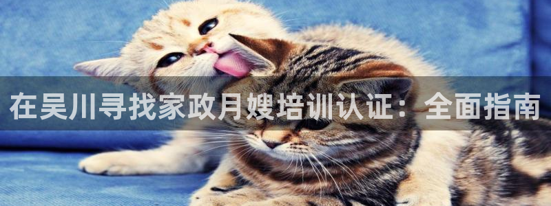 杏悦平台可靠吗可信吗是真的吗