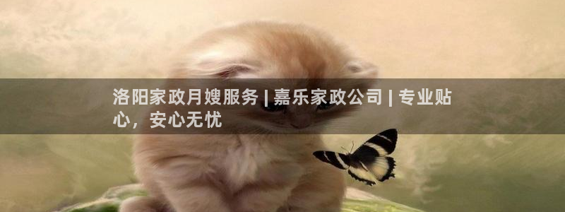 杏悦平台开户地址
