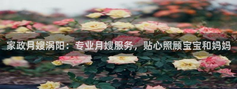 杏悦是什么