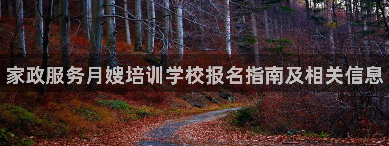 杏悦官方平台官网入口