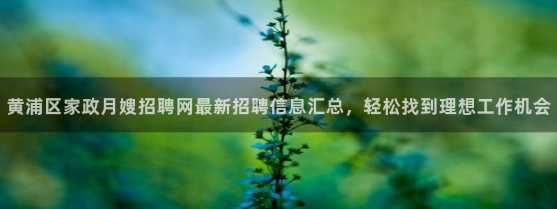 杏悦官方平台官网入口