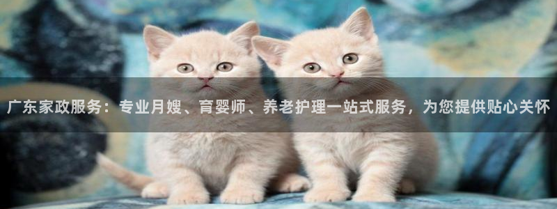 杏悦平台招商怎么样