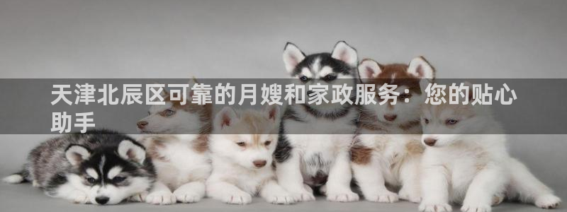 杏悦平台登录入口官网